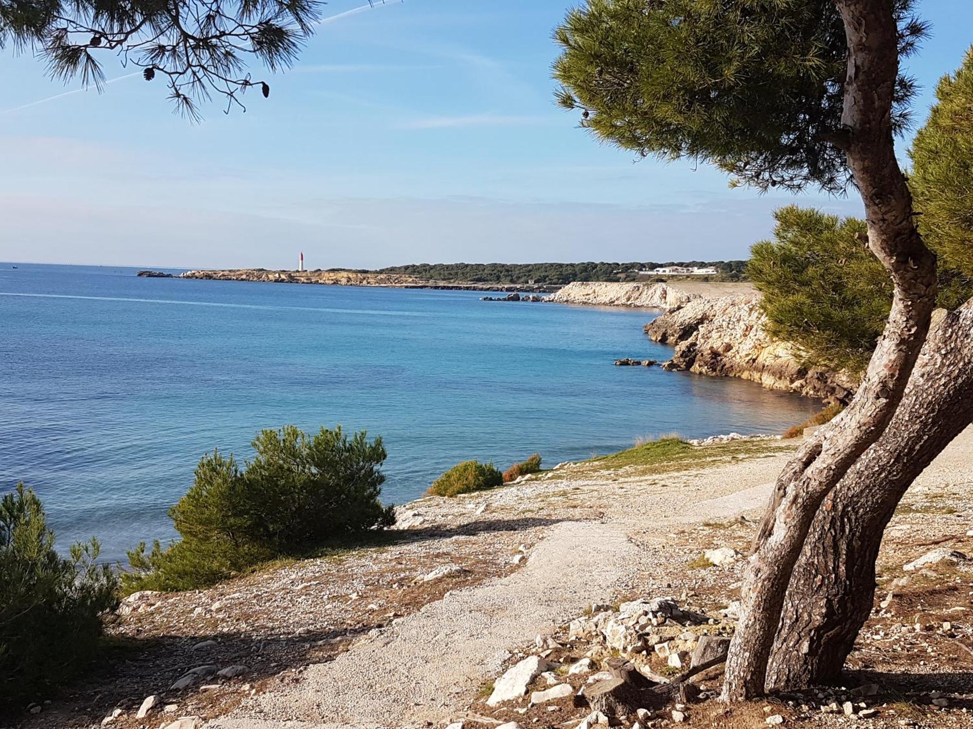 Ferienwohnung A 50M Du Port De Carry-Cote Bleue Exterior foto